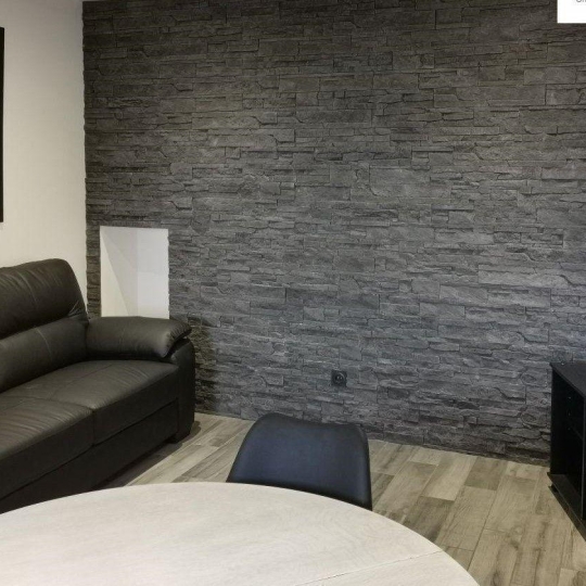 3P IMMOBILIER : Maison / Villa | PELUSSIN (42410) | 45.64m2 | 480 € 