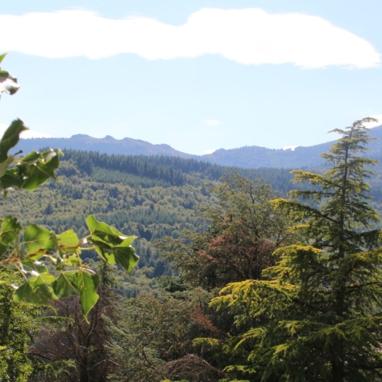  3P IMMOBILIER : Maison / Villa | PELUSSIN (42410) | 134 m2 | 360 000 € 