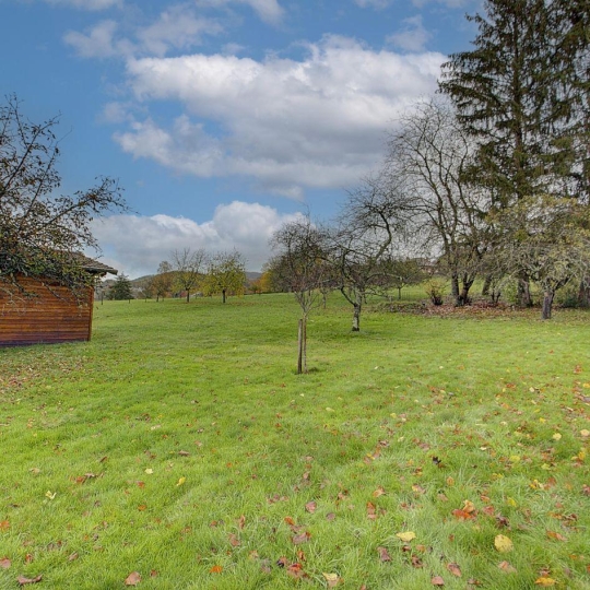  3P IMMOBILIER : Maison / Villa | SAINT-JEAN-LE-VIEUX (01640) | 84 m2 | 205 000 € 