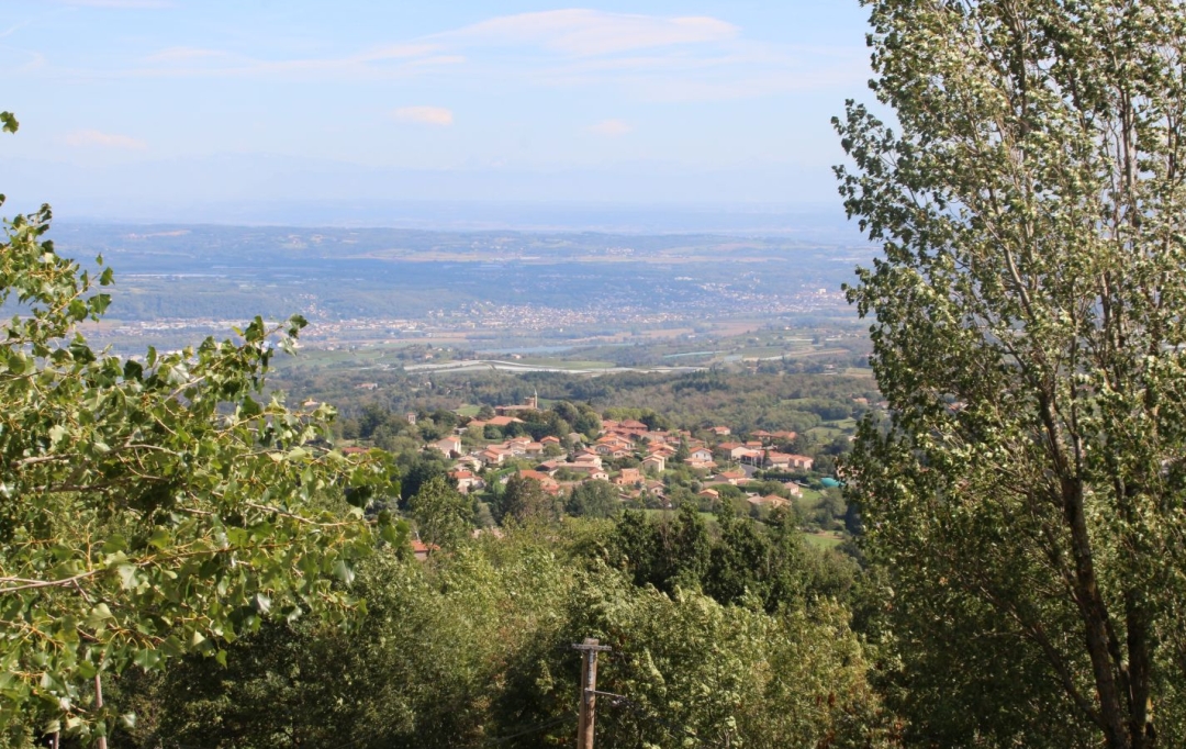 3P IMMOBILIER : Maison / Villa | PELUSSIN (42410) | 134 m2 | 360 000 € 